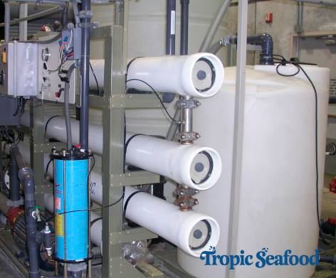 Reverse osmosis aquaculture at Tropic Seafood