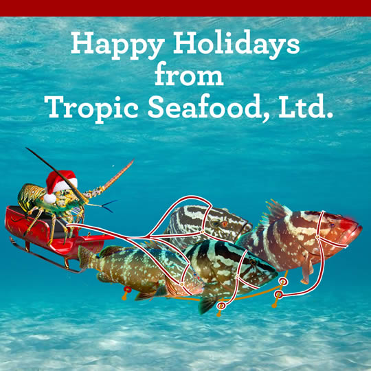 happy holidays from Tropic Seafood